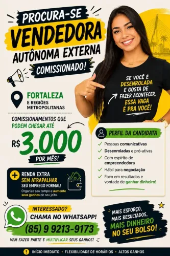 Vendedor comicionado