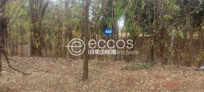 Terreno em condomínio à venda, Jockey Park - UBERABA/MG