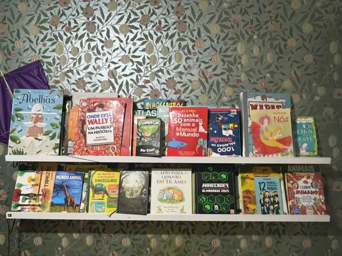 Prateleira livro infantil