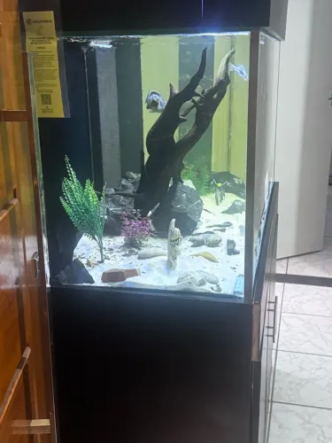 Aquário 200 litros