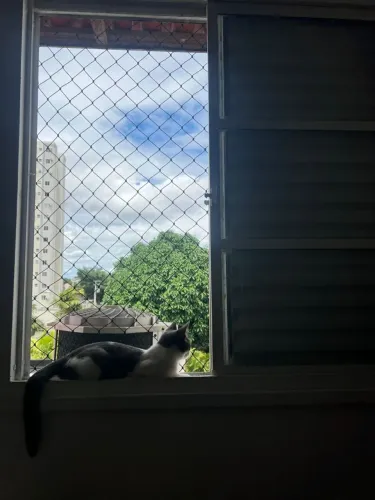 Proteção para janelas