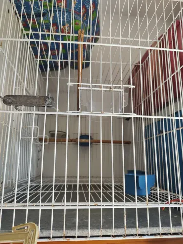 Gaiola para pássaros