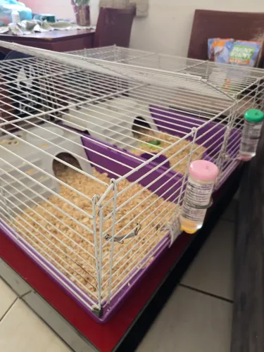 2 Gaiolas para roedores (porquinho da índia, coelho, hamster, etc.)