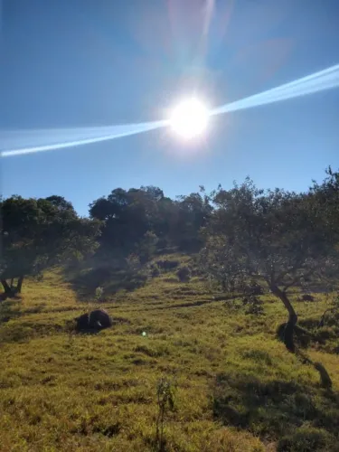 Terreno para Venda em Sorocaba, Vila Barão
