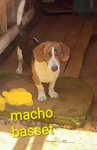Vendo