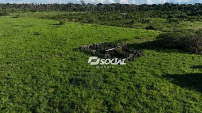 Fazenda com 5 dormitórios à venda, 1548800 m² por R$ 950.000,00 - Canutama - Porto Velho/R