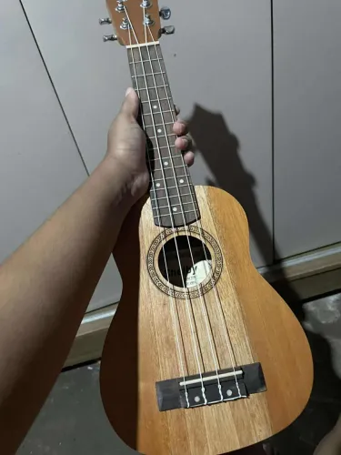 Ukulele 