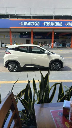 BYD Dolphin Mini (Elétrico) 2027