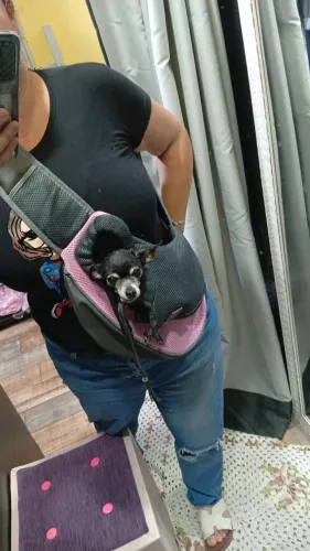 Casa perfeita para cão e gato, quentinha, confortável e lavável, pois desmonta.