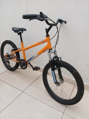 Bicicleta Caloi Sanap Aro 20