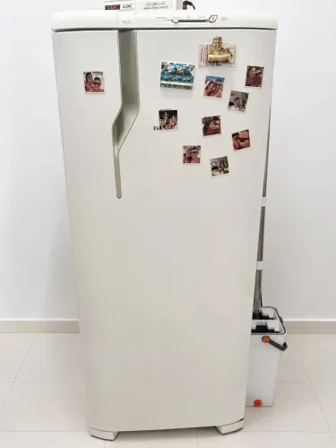 Geladeira Electrolux 220 v