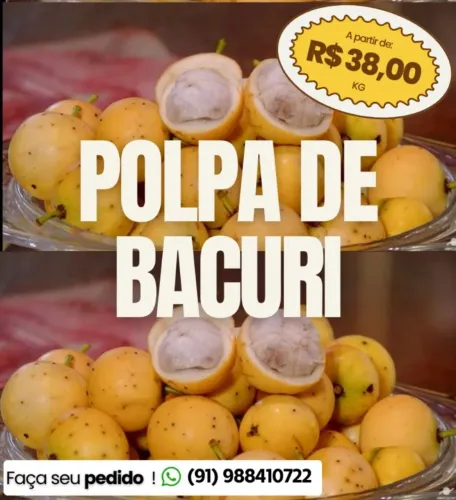 POLPA DE FRUTAS