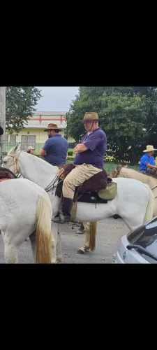 Cavalo Mangalarga marcha trotada