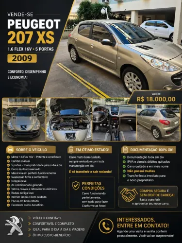 Peugeot 207 XS 1.6 Flex 16V 5P 2010
