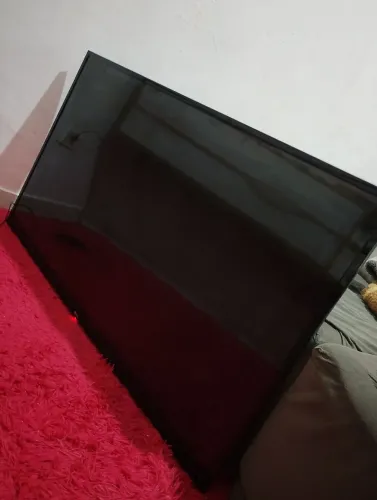 Televisão