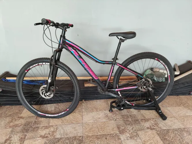Bicicleta Aro 29 Alfameq