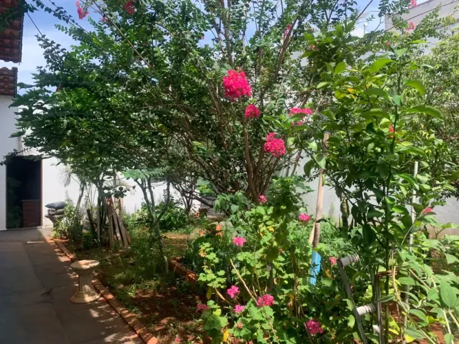 Casa 3 quartos com suíte, quintal com pomar e terreno 390 m² no Jardim Pompéia ao lado do 