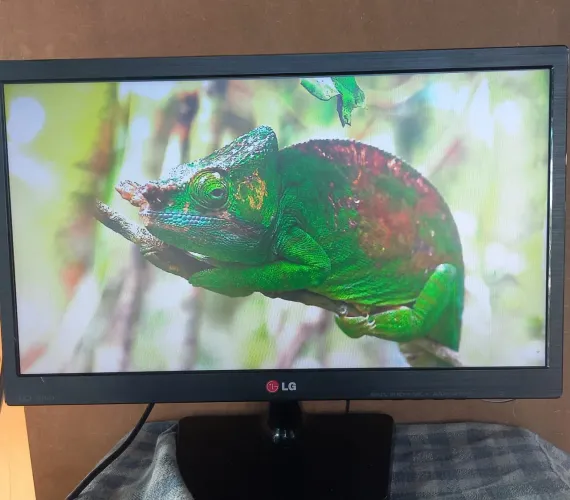Monitor