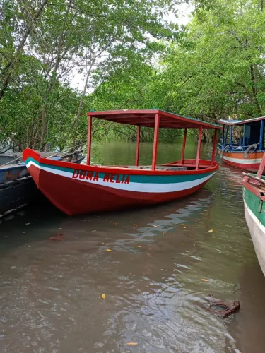 Barco 7,50 comprimento disiel yamar 9 