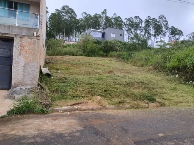 Lote - Cidade Nova - 300m²