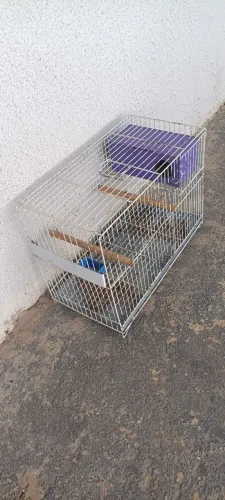 Gaiolas passarinho kit com 2