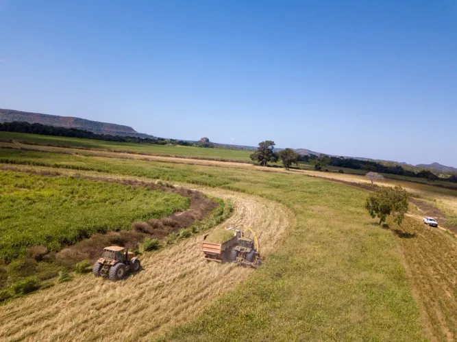 Fazenda em goiatins
