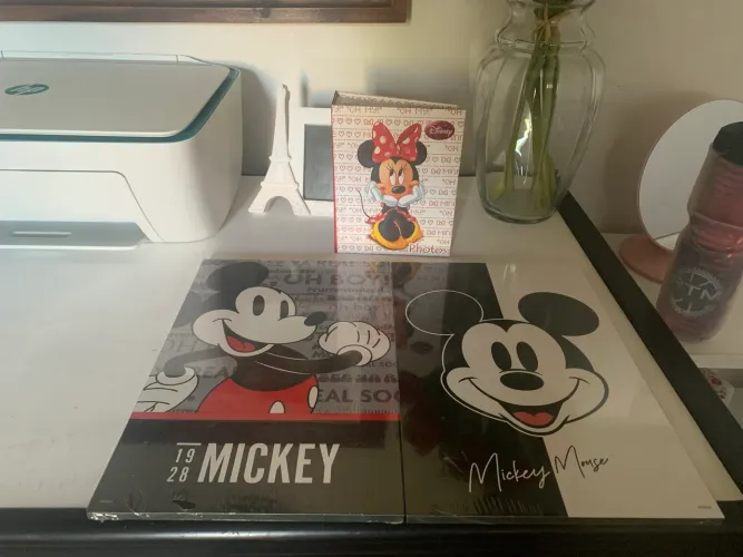 Quadros Disney