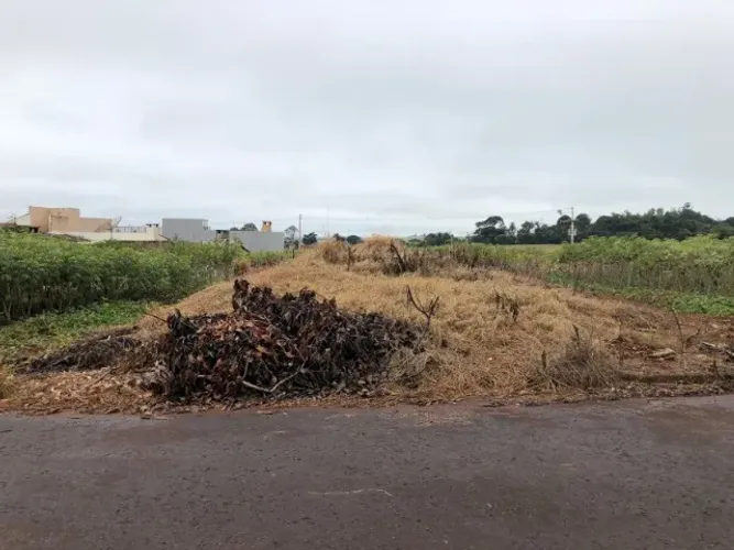 Terreno no loteamento Cidades das Flores
