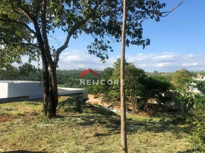 Lote em Rua das Palmeiras - Ocupação Vitória (Granja Werneck) - Belo Horizonte/MG