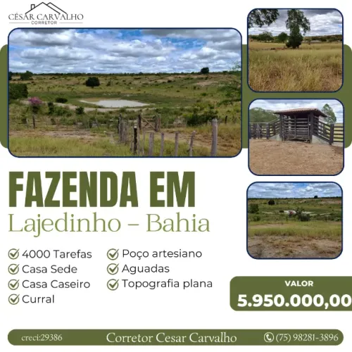FAZENDA EM LAJEDINHO - 4000 TAREFAS