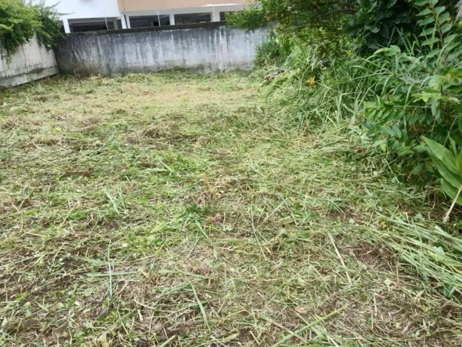 Terreno à venda, 220 m² por R$ 390.000,00 - Ponta das Canas - Florianópolis/SC