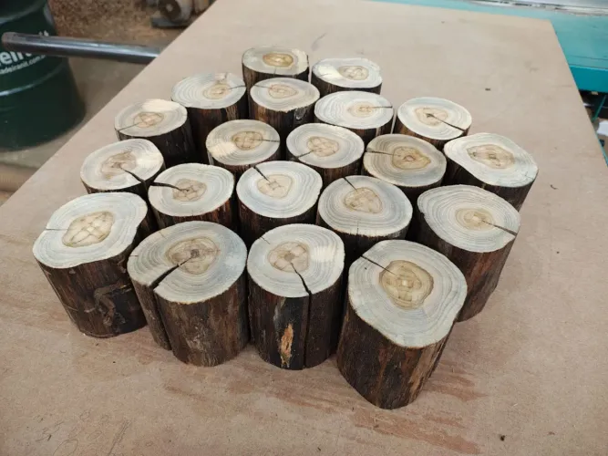 Toco de madeira lote com 10 unidades 