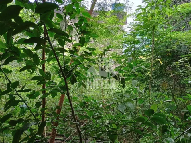 Área à venda, 360 m² por R$ 1.000.000,01 - Colubande - São Gonçalo/RJ