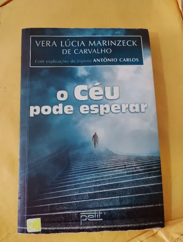 livro o céu pode esperar