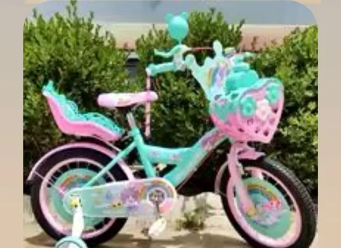 Bike Aro 20
