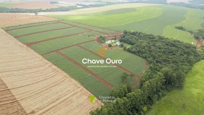 Terreno à venda, 1000 m² por R$ 700.000,00 - Br 486 - Cascavel/PR