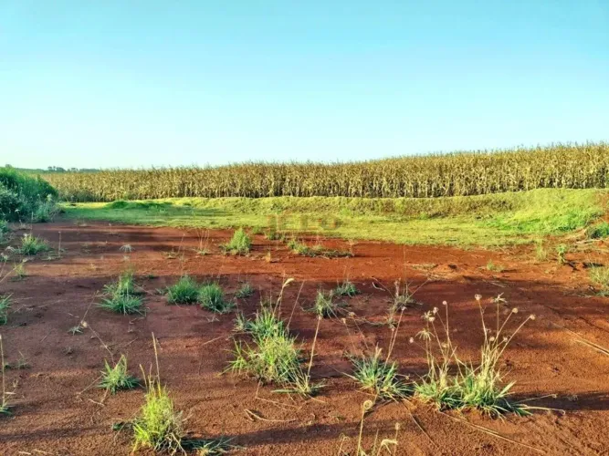 Terreno / Iguatemi / Fazenda UEM