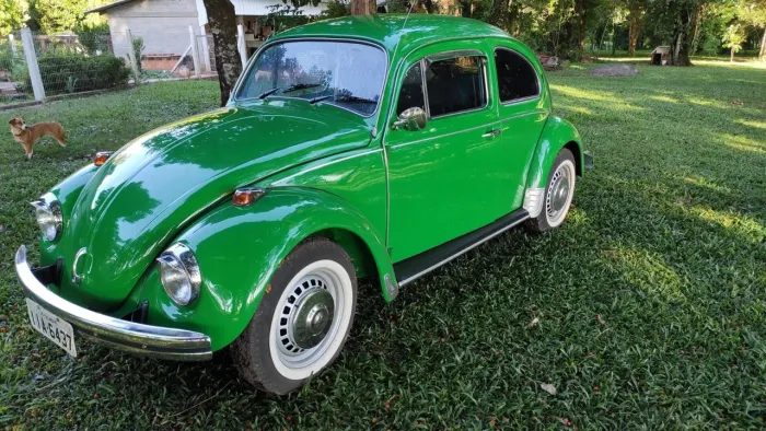 Volkswagen Fusca (álcool) 1980