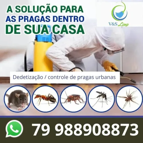 Dedetização/ controle de pragas 