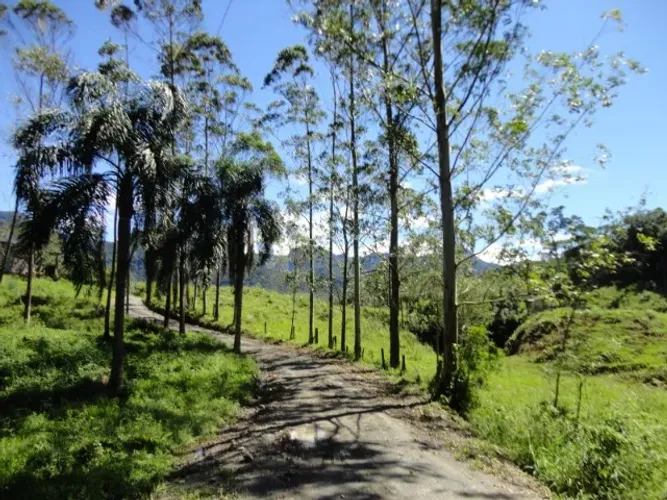 Terreno à venda em Treviso - Rio Pio/SC