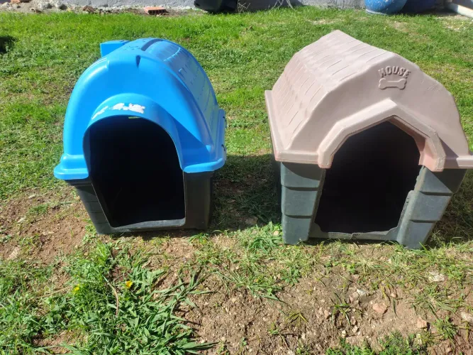 Casinha de cachorro