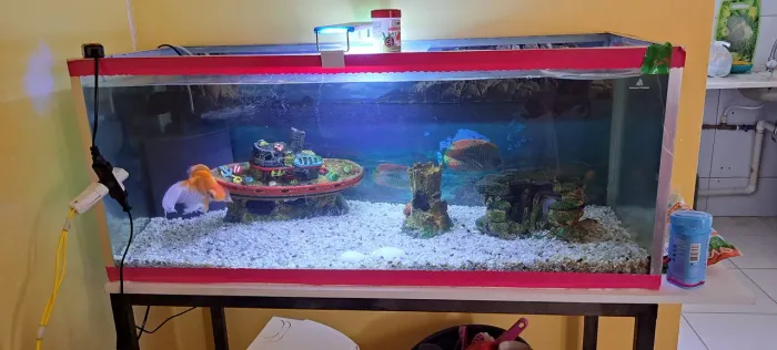 Vendo aquario tamanho 40x40x100 