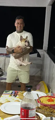 Buldogue francês procura uma namorada 