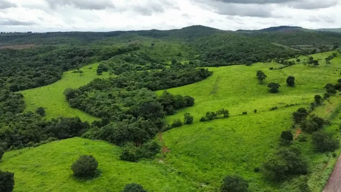 Fazenda 64 Alqueires em Santa Tereza
