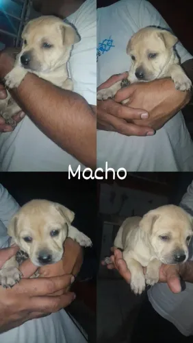 Doação