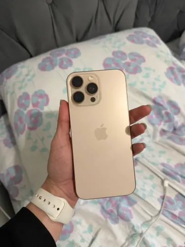 iPhone Pro Max 16 (256 GB)