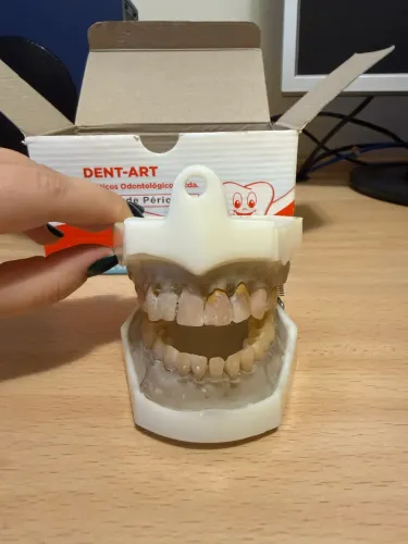 Manequim periodontia Dent-art usado. 
