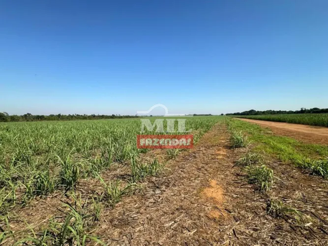 Fazenda 63 Alqueires (305 hectares) Acreúna - GO