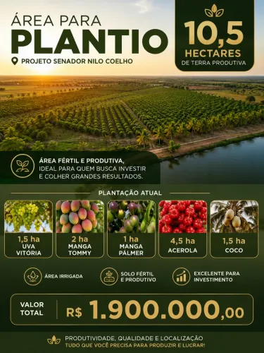 Vendo área em produção