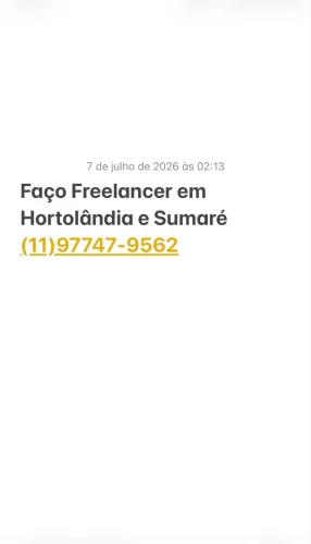 Freelancer